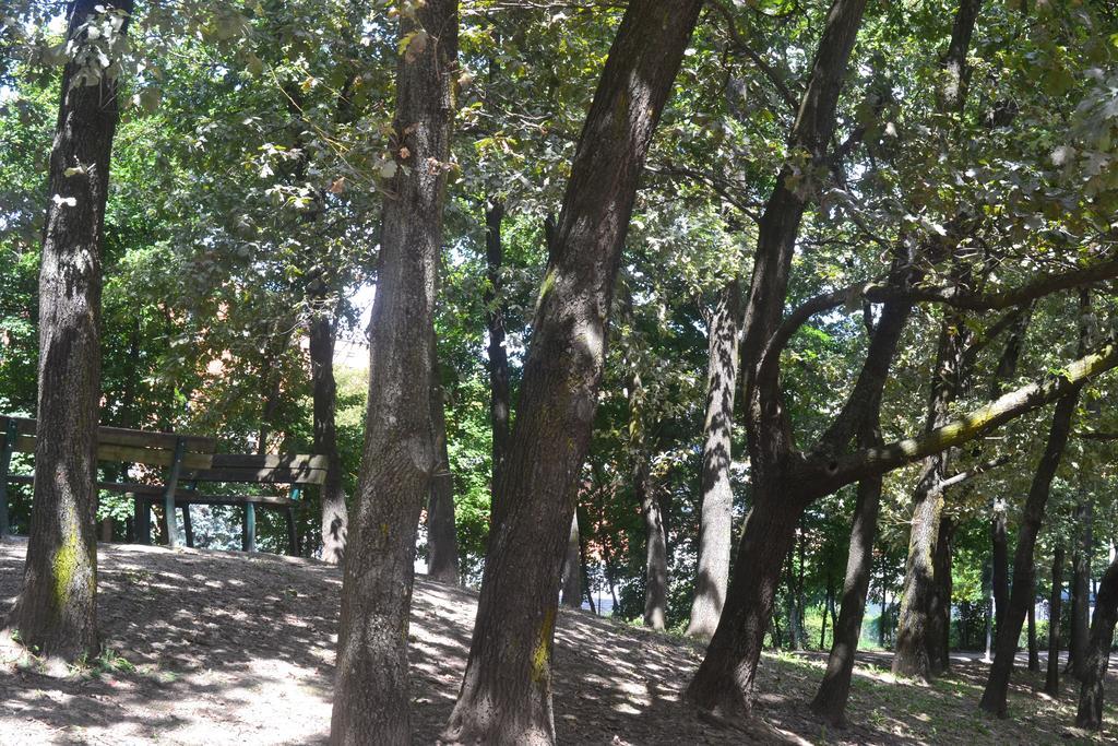 Casa Lory Apartment Bologna Phòng bức ảnh